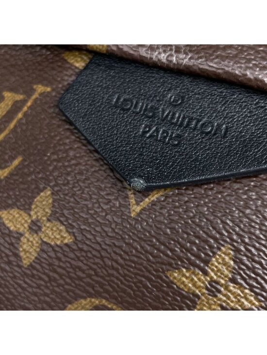 Louis Vuitton Palm Spring Backpack MM Monogram Brown main image 9